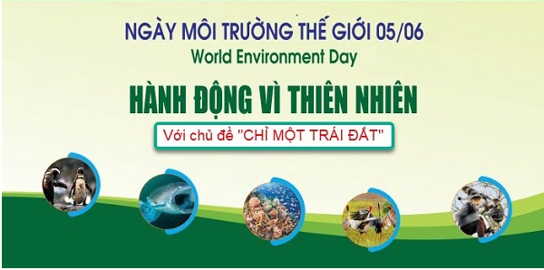 moi truong.png